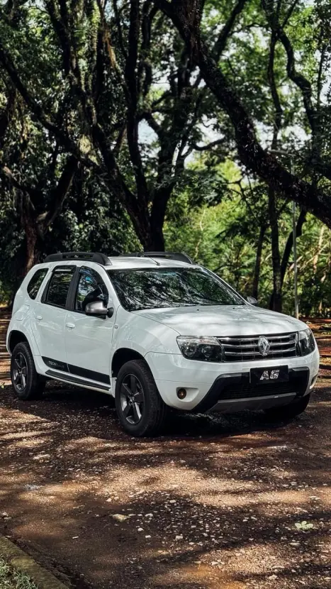 RENAULT Duster 2.0 16V 4P FLEX DYNAMIQUE, Foto 4