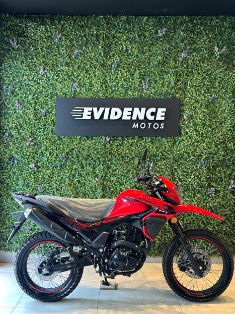 SHINERAY SHI 175 , Foto 2