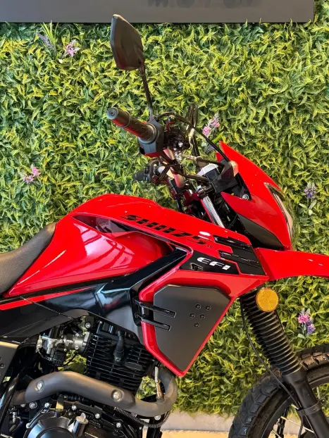 SHINERAY SHI 175 , Foto 4