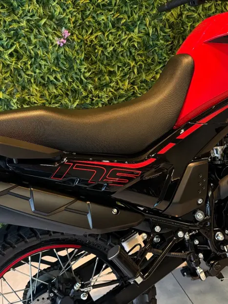 SHINERAY SHI 175 , Foto 7