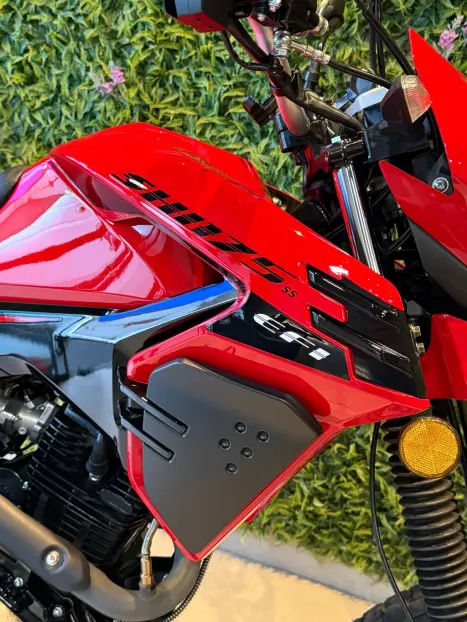 SHINERAY SHI 175 , Foto 8