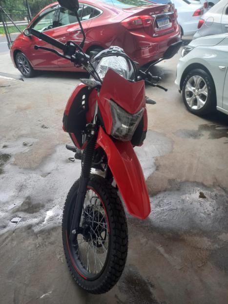 SHINERAY SHI 175 , Foto 14