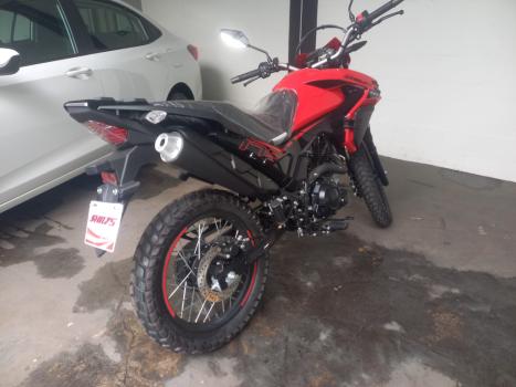 SHINERAY SHI 175 , Foto 18