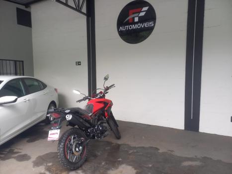 SHINERAY SHI 175 , Foto 19