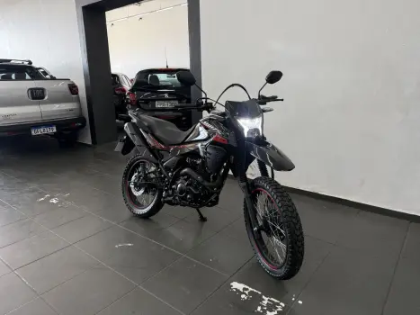 SHINERAY SHI 175 , Foto 8