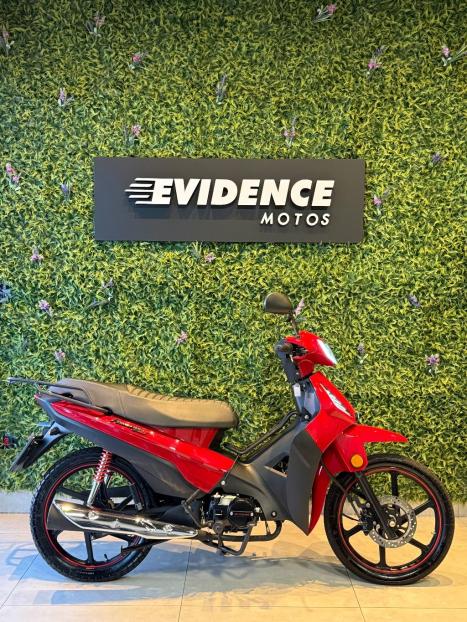 SHINERAY XY 50 Q PHOENIX , Foto 2