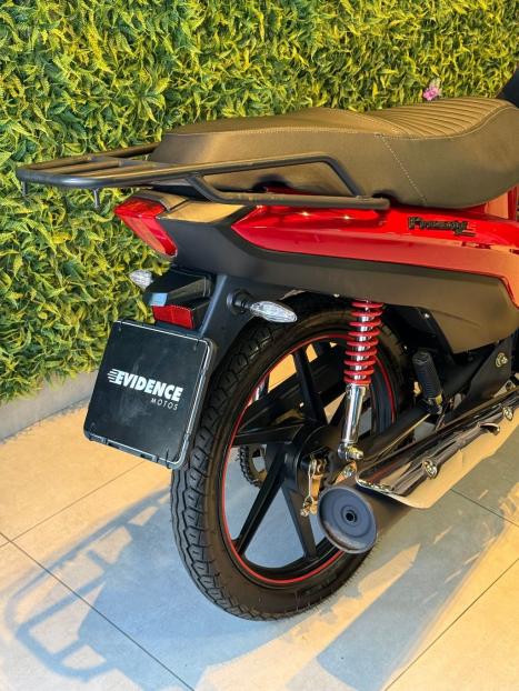 SHINERAY XY 50 Q PHOENIX , Foto 3