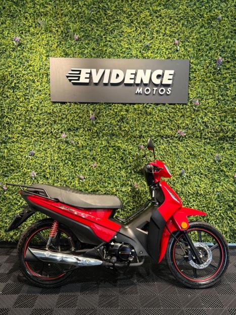 SHINERAY XY 50 Q PHOENIX , Foto 2