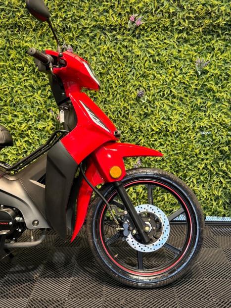 SHINERAY XY 50 Q PHOENIX , Foto 5