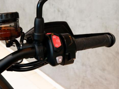 TRIUMPH Tiger 900 RALLY PR�, Foto 22