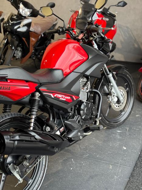 YAMAHA Factor 150 ED, Foto 8