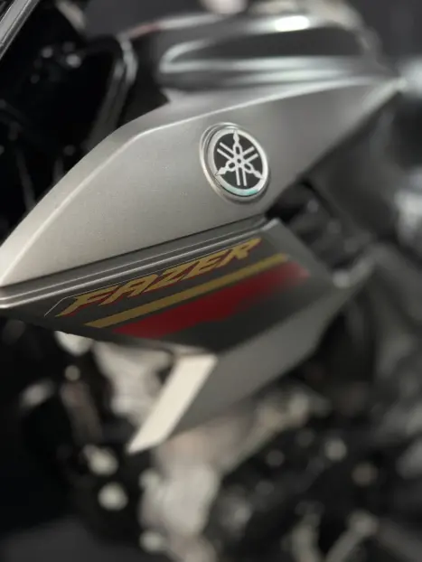 YAMAHA Fazer YS 150 SED, Foto 10