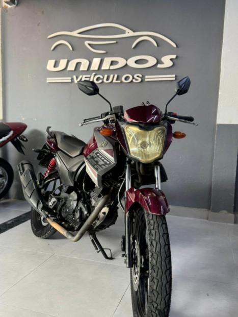YAMAHA Fazer YS 150 ED, Foto 2