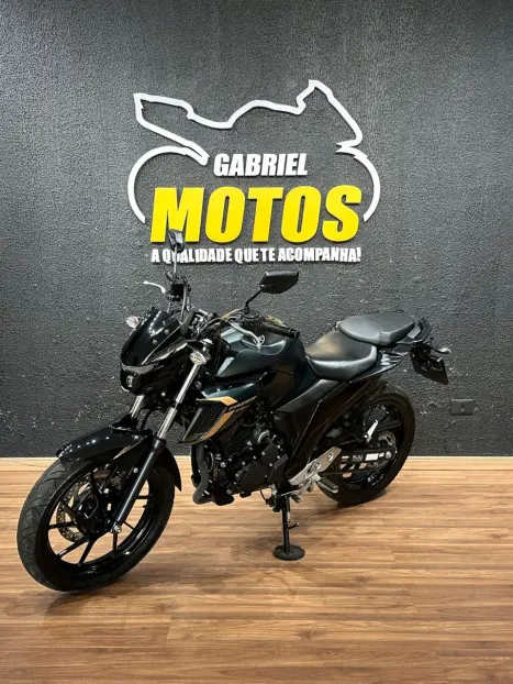 YAMAHA FZ 25 250 Fazer Flex , Foto 4 YAMAHA FZ 25 250 Fazer Flex , Foto 4