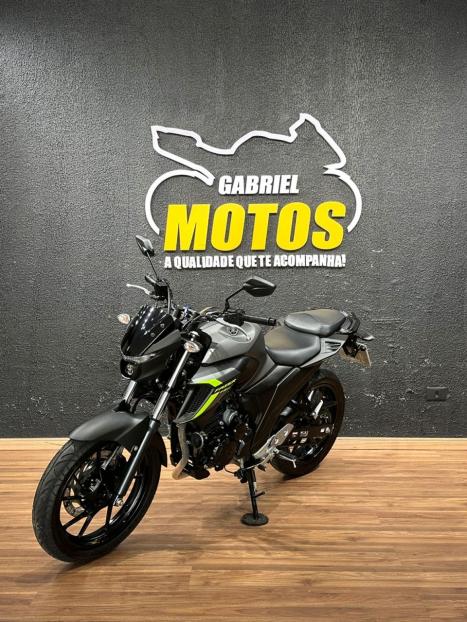 YAMAHA FZ 25 250 Fazer Flex , Foto 4