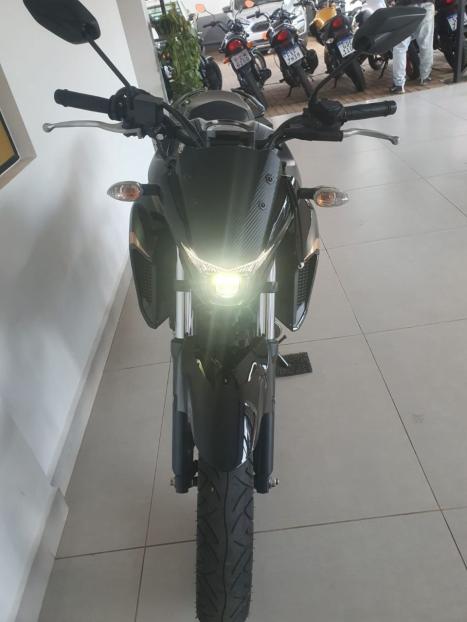 YAMAHA FZ 25 250 Fazer Flex , Foto 14 YAMAHA FZ 25 250 Fazer Flex , Foto 14