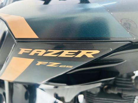 YAMAHA FZ 25 250 Fazer Flex , Foto 5