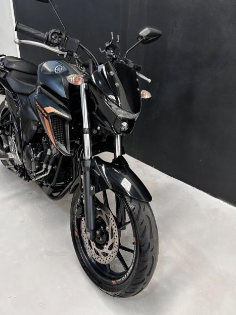 YAMAHA FZ 25 250 Fazer Flex , Foto 5