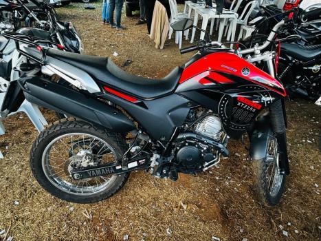 YAMAHA Lander 250 X, Foto 2