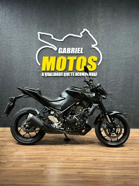 YAMAHA MT-03 300 ABS, Foto 1