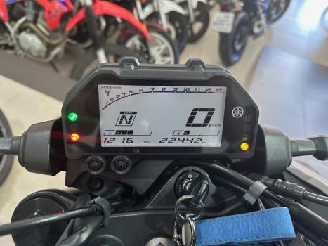 YAMAHA MT-03 300 ABS, Foto 6
