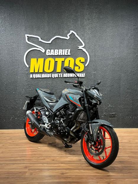 YAMAHA MT-03 300 ABS, Foto 3 YAMAHA MT-03 300 ABS, Foto 3