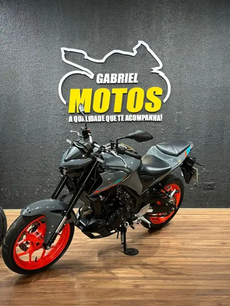 YAMAHA MT-03 300 ABS, Foto 4 YAMAHA MT-03 300 ABS, Foto 4