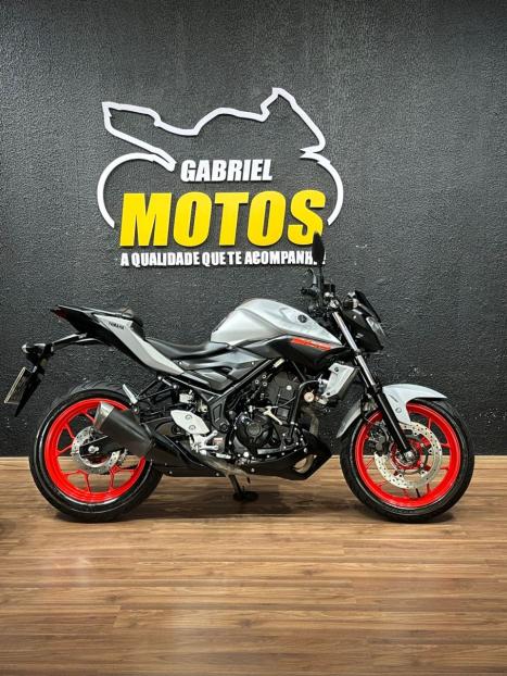 YAMAHA MT-03 300 ABS, Foto 1