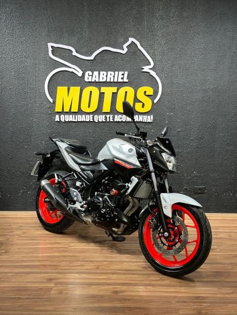YAMAHA MT-03 300 ABS, Foto 3