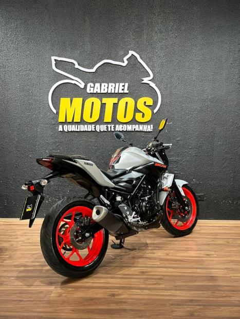 YAMAHA MT-03 300 ABS, Foto 6