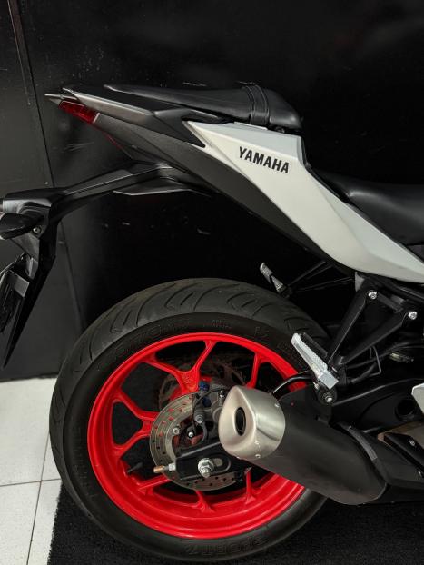 YAMAHA MT-03 300 ABS, Foto 2