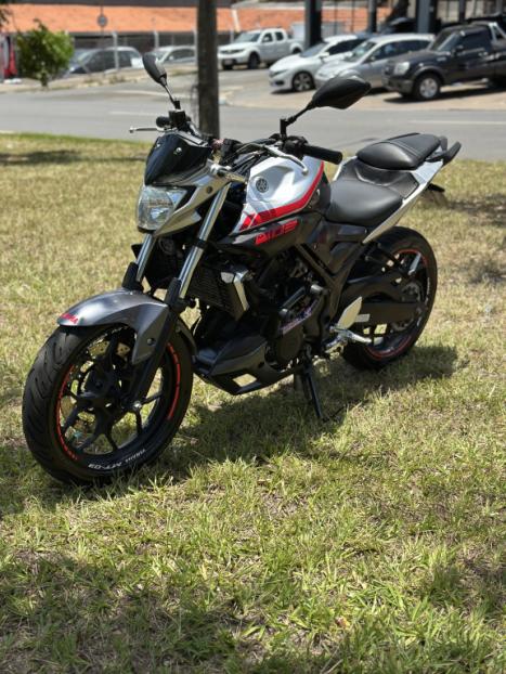 YAMAHA MT-03 300 ABS, Foto 6