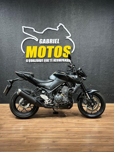 YAMAHA MT-03 300 ABS, Foto 1