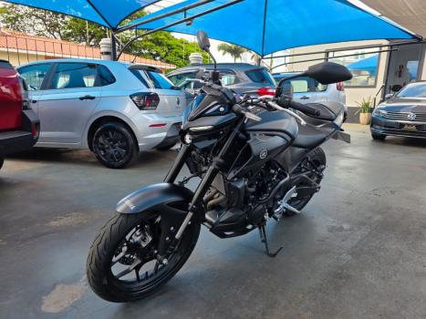YAMAHA MT-03 300 ABS, Foto 3