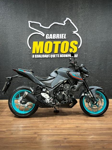 YAMAHA MT-03 300 ABS, Foto 1