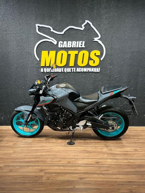 YAMAHA MT-03 300 ABS, Foto 2