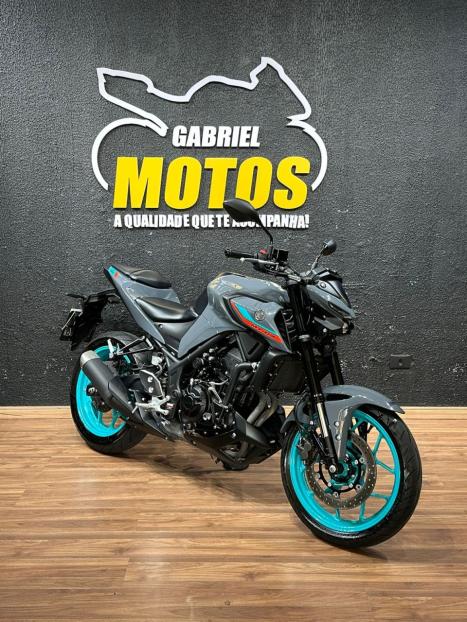 YAMAHA MT-03 300 ABS, Foto 3