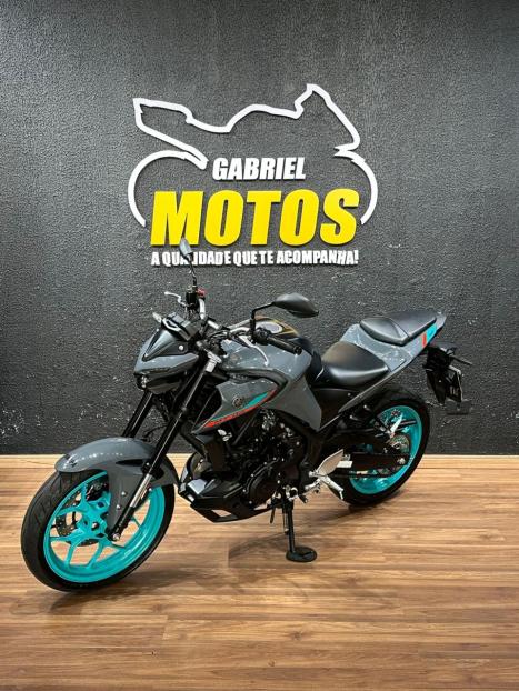 YAMAHA MT-03 300 ABS, Foto 4