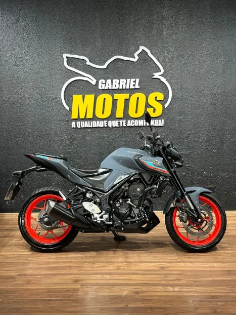 YAMAHA MT-03 300 ABS, Foto 1