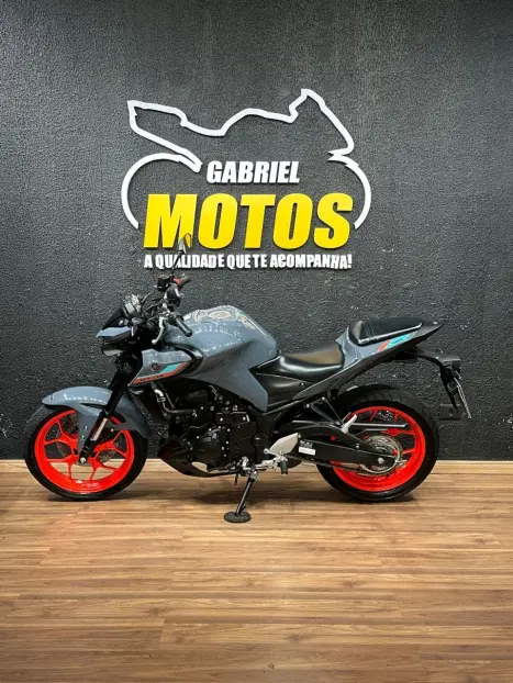 YAMAHA MT-03 300 ABS, Foto 2