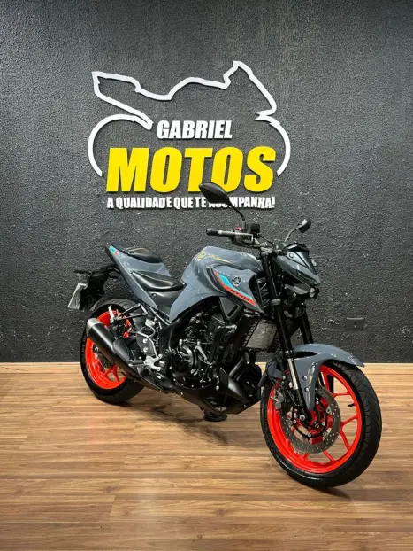 YAMAHA MT-03 300 ABS, Foto 3