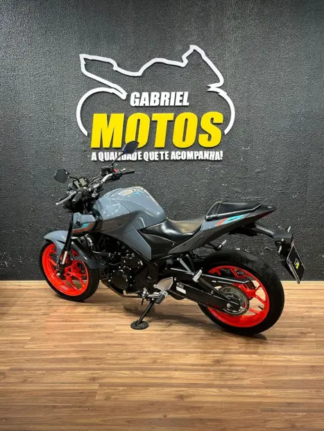 YAMAHA MT-03 300 ABS, Foto 5