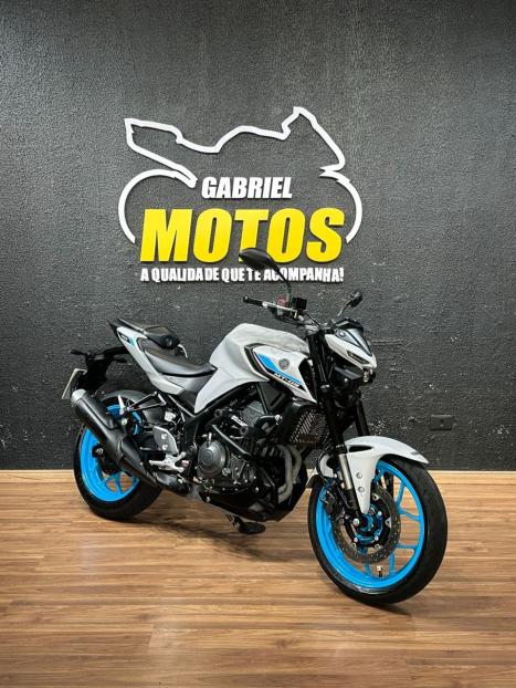 YAMAHA MT-03 300 ABS, Foto 3