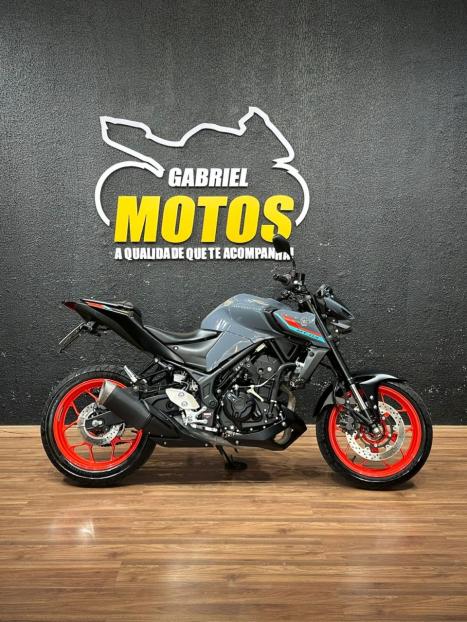 YAMAHA MT-03 300 ABS, Foto 1