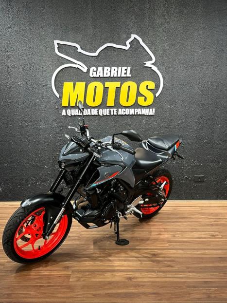 YAMAHA MT-03 300 ABS, Foto 4
