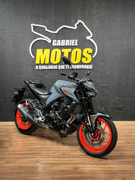 YAMAHA MT-03 300 ABS, Foto 3