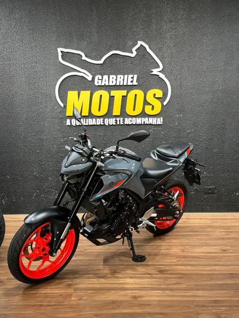 YAMAHA MT-03 300 ABS, Foto 4