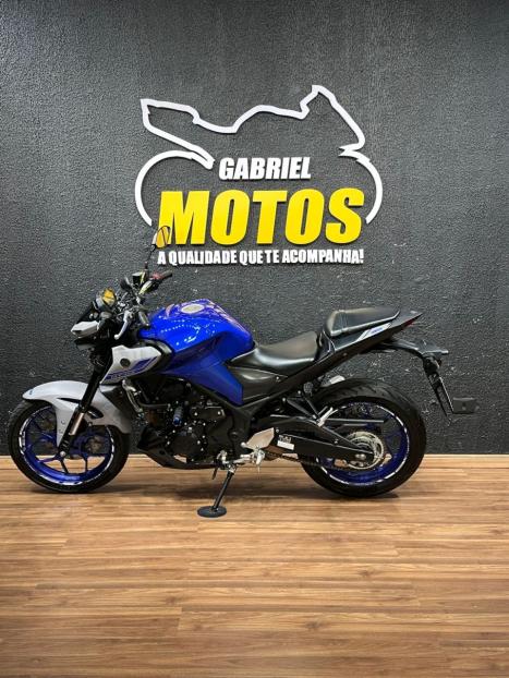 YAMAHA MT-03 300 ABS, Foto 2