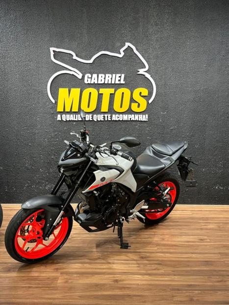 YAMAHA MT-03 300 ABS, Foto 4