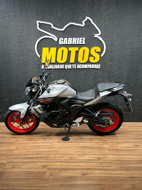 YAMAHA MT-03 300 ABS, Foto 2